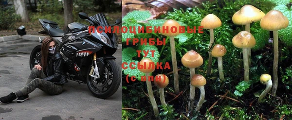 дурь Лиски