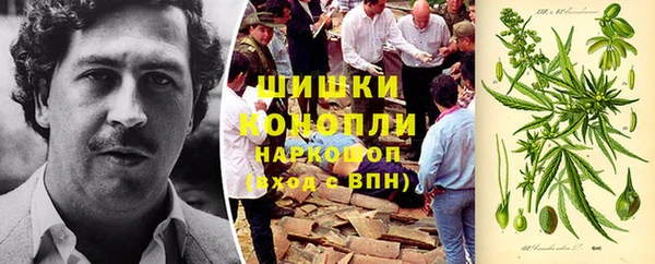 дурь Лиски