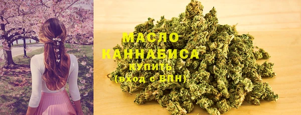 амф Ладушкин