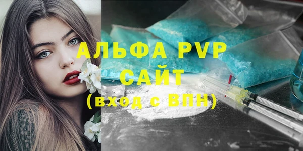 стаф Липки