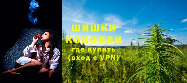 амф Ладушкин