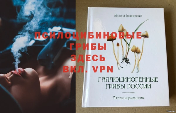бошки Лабытнанги